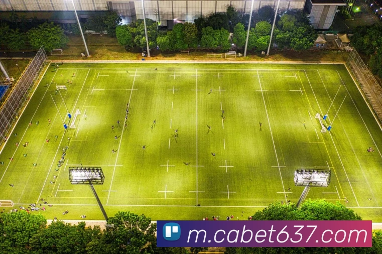 ca亚洲城APP 封面图